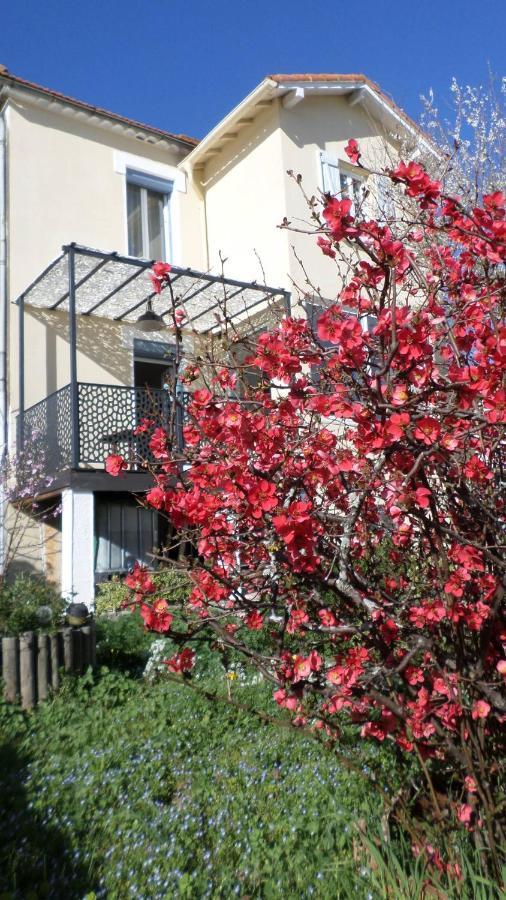 Bed and Breakfast L'Agapanthe à Conques-sur-Orbiel Extérieur photo