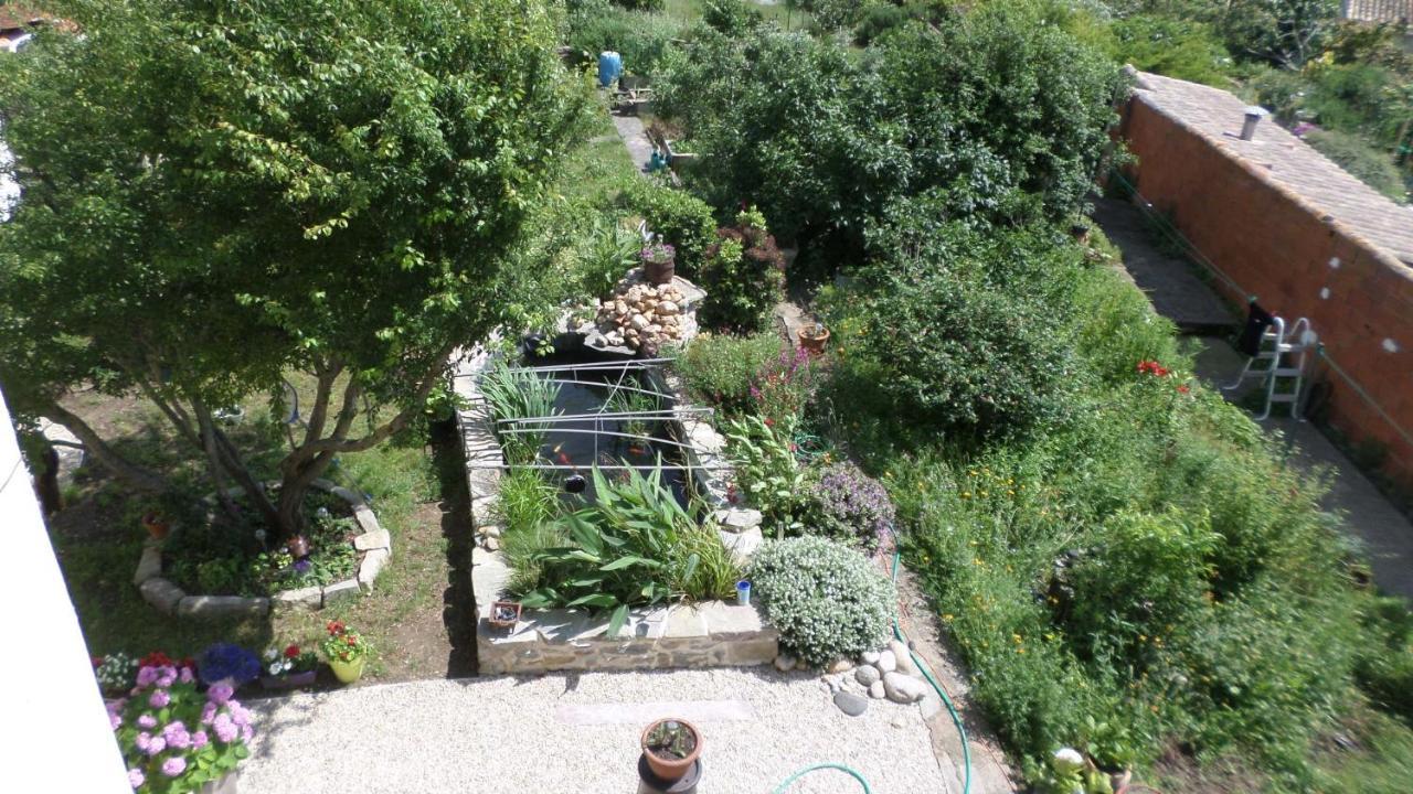 Bed and Breakfast L'Agapanthe à Conques-sur-Orbiel Extérieur photo